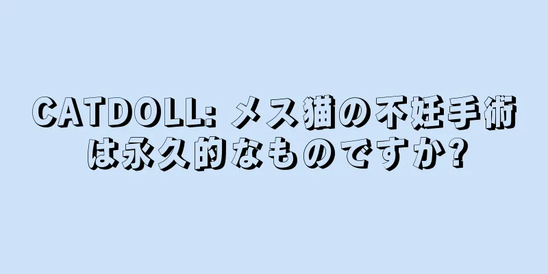 CATDOLL: メス猫の不妊手術は永久的なものですか?