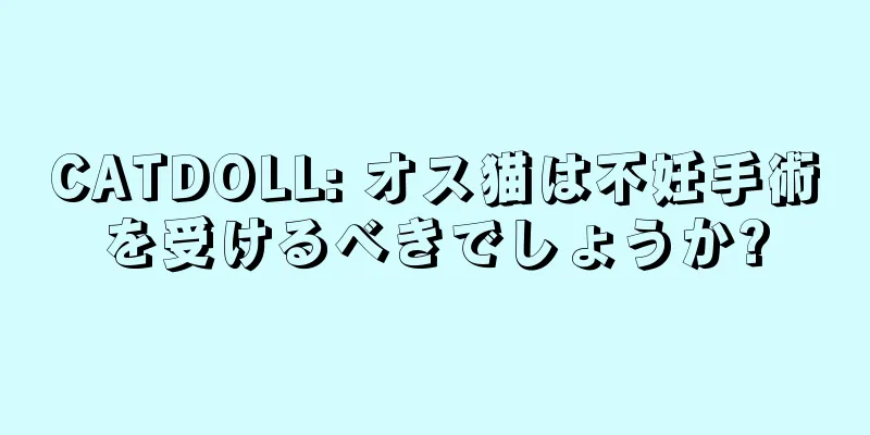 CATDOLL: オス猫は不妊手術を受けるべきでしょうか?