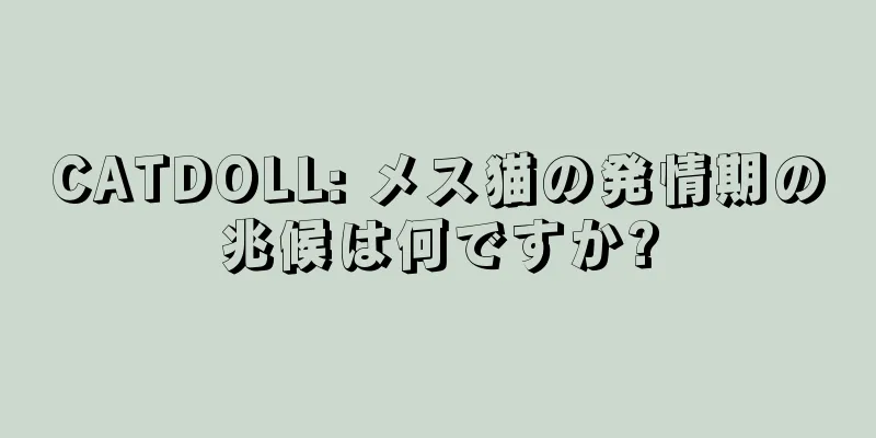 CATDOLL: メス猫の発情期の兆候は何ですか?
