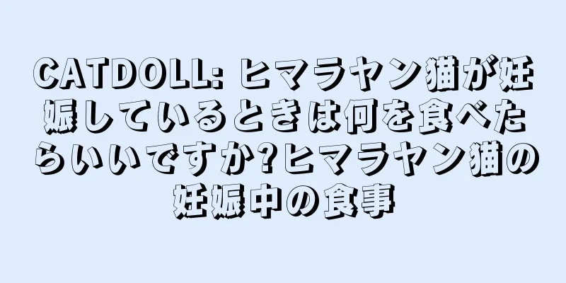 CATDOLL: ヒマラヤン猫が妊娠しているときは何を食べたらいいですか?ヒマラヤン猫の妊娠中の食事