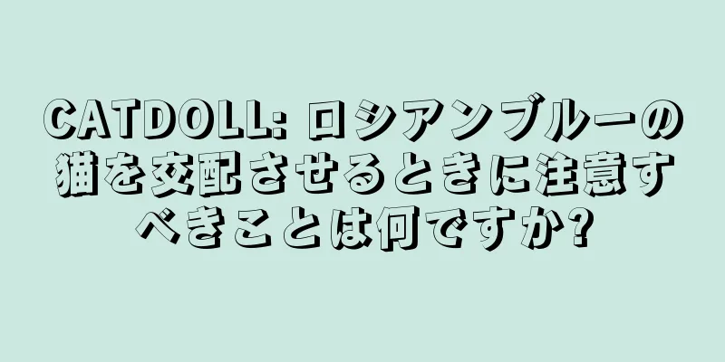 CATDOLL: ロシアンブルーの猫を交配させるときに注意すべきことは何ですか?