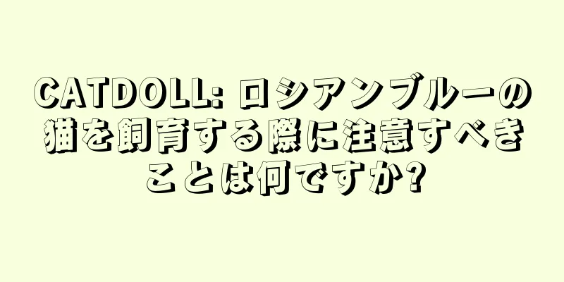 CATDOLL: ロシアンブルーの猫を飼育する際に注意すべきことは何ですか?