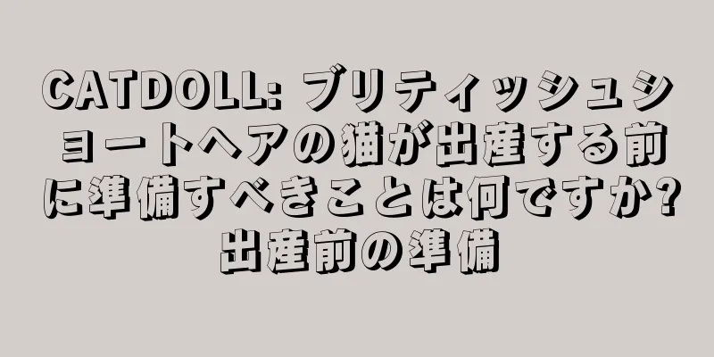 CATDOLL: ブリティッシュショートヘアの猫が出産する前に準備すべきことは何ですか?出産前の準備