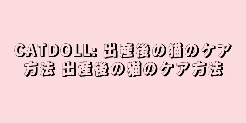 CATDOLL: 出産後の猫のケア方法 出産後の猫のケア方法