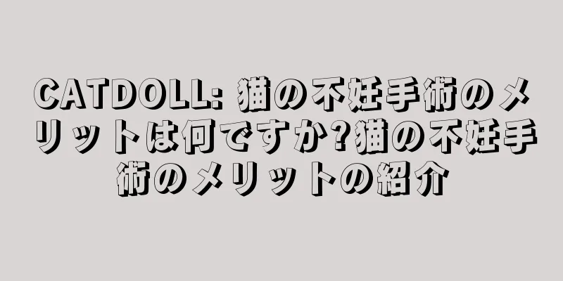 CATDOLL: 猫の不妊手術のメリットは何ですか?猫の不妊手術のメリットの紹介