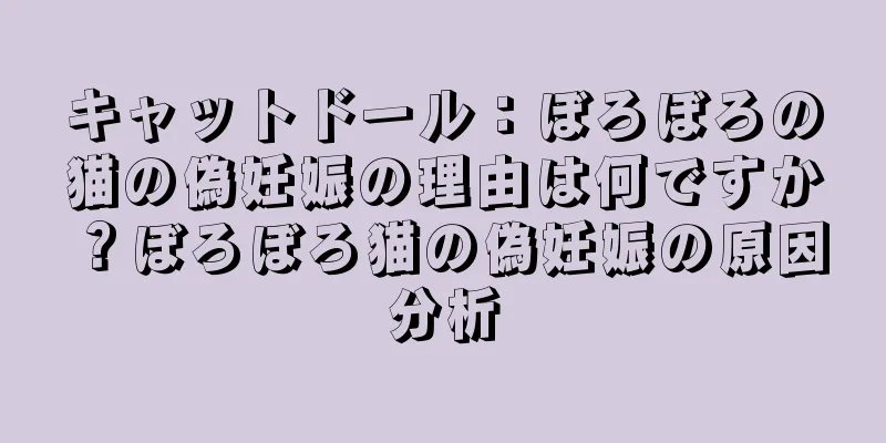キャットドール：ぼろぼろの猫の偽妊娠の理由は何ですか？ぼろぼろ猫の偽妊娠の原因分析
