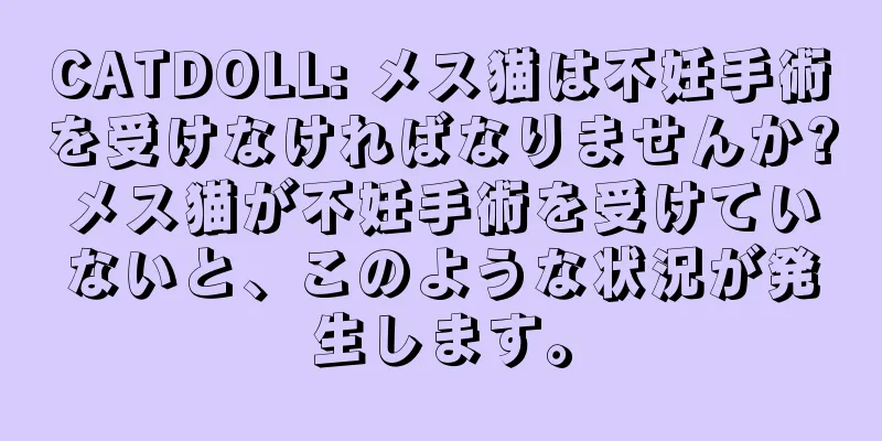 CATDOLL: メス猫は不妊手術を受けなければなりませんか?メス猫が不妊手術を受けていないと、このような状況が発生します。