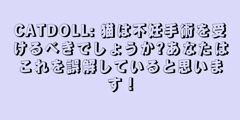 CATDOLL: 猫は不妊手術を受けるべきでしょうか?あなたはこれを誤解していると思います！