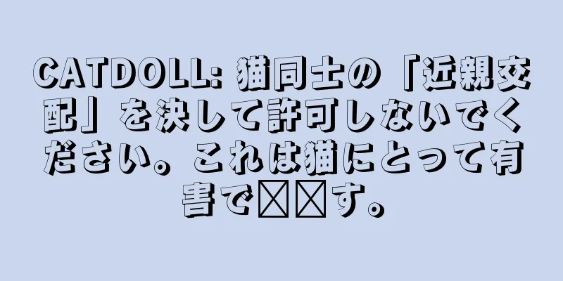 CATDOLL: 猫同士の「近親交配」を決して許可しないでください。これは猫にとって有害で​​す。