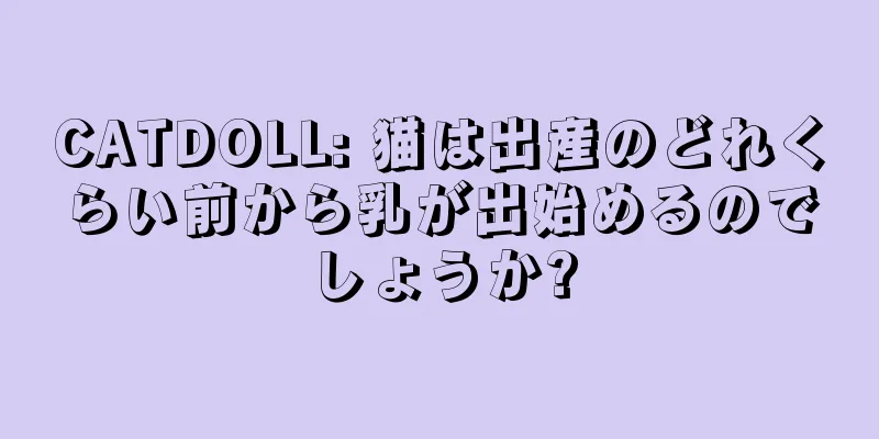 CATDOLL: 猫は出産のどれくらい前から乳が出始めるのでしょうか?