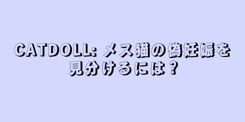 CATDOLL: メス猫の偽妊娠を見分けるには？
