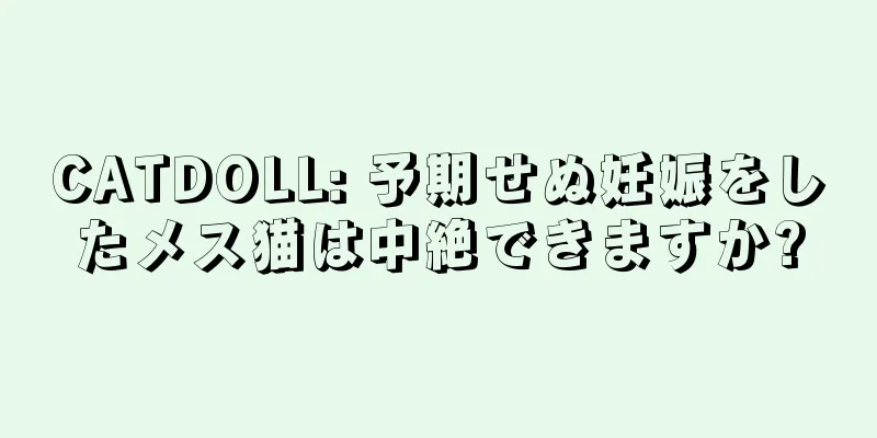 CATDOLL: 予期せぬ妊娠をしたメス猫は中絶できますか?