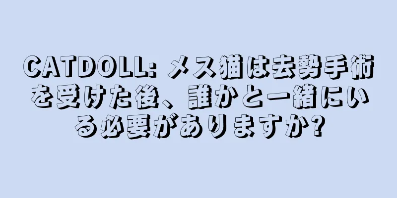 CATDOLL: メス猫は去勢手術を受けた後、誰かと一緒にいる必要がありますか?