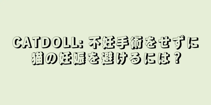 CATDOLL: 不妊手術をせずに猫の妊娠を避けるには？