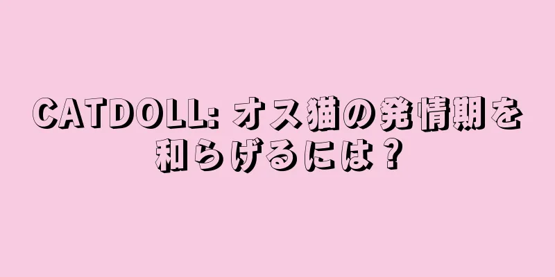 CATDOLL: オス猫の発情期を和らげるには？