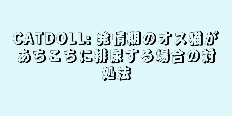 CATDOLL: 発情期のオス猫があちこちに排尿する場合の対処法
