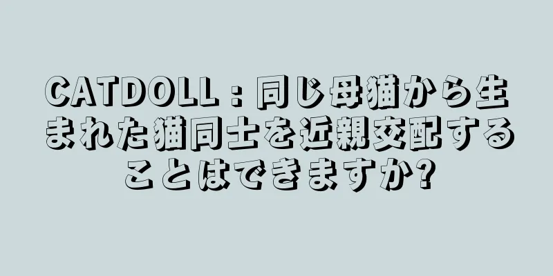 CATDOLL : 同じ母猫から生まれた猫同士を近親交配することはできますか?