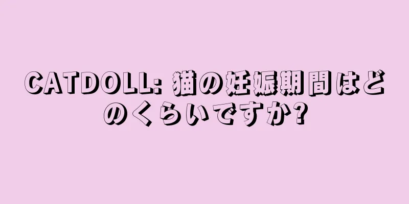 CATDOLL: 猫の妊娠期間はどのくらいですか?