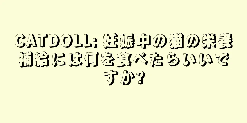 CATDOLL: 妊娠中の猫の栄養補給には何を食べたらいいですか?