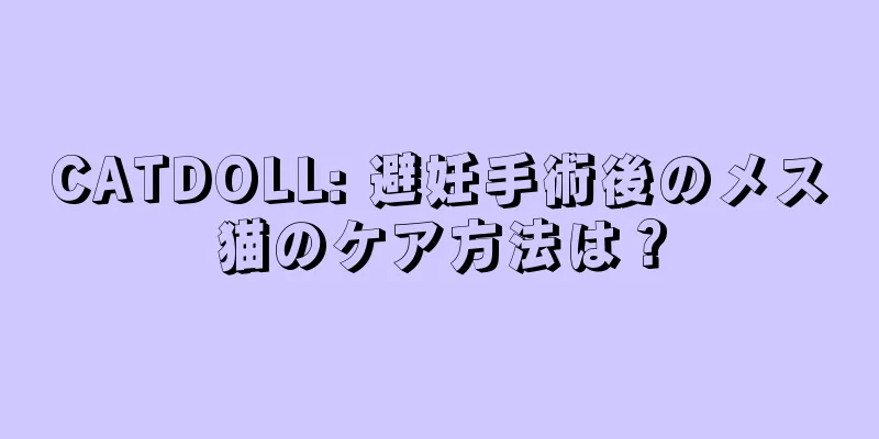 CATDOLL: 避妊手術後のメス猫のケア方法は？