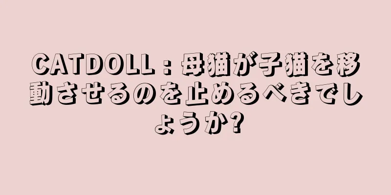 CATDOLL : 母猫が子猫を移動させるのを止めるべきでしょうか?