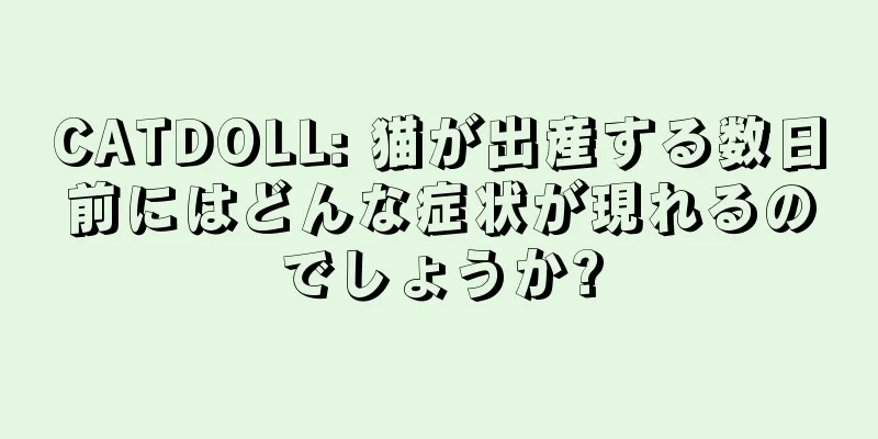 CATDOLL: 猫が出産する数日前にはどんな症状が現れるのでしょうか?