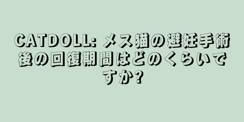 CATDOLL: メス猫の避妊手術後の回復期間はどのくらいですか?