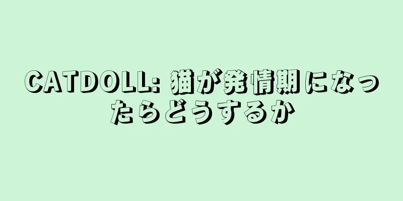 CATDOLL: 猫が発情期になったらどうするか