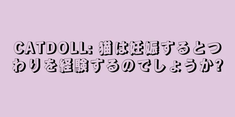 CATDOLL: 猫は妊娠するとつわりを経験するのでしょうか?