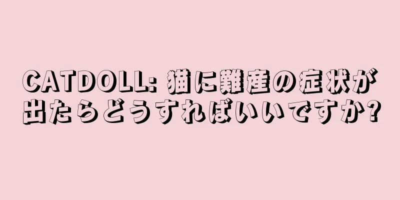 CATDOLL: 猫に難産の症状が出たらどうすればいいですか?