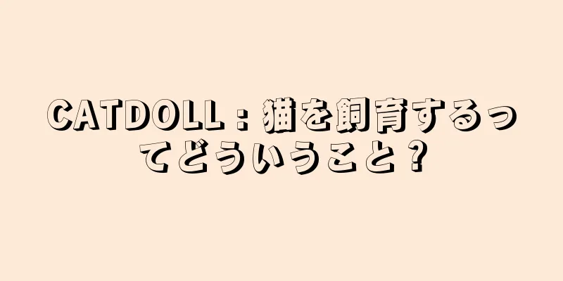 CATDOLL : 猫を飼育するってどういうこと？