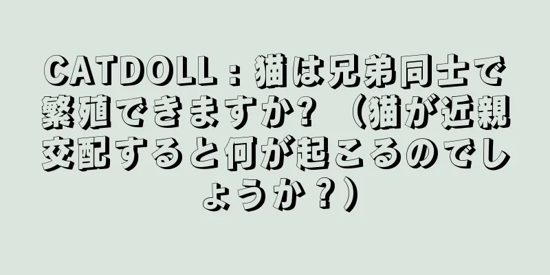CATDOLL : 猫は兄弟同士で繁殖できますか? （猫が近親交配すると何が起こるのでしょうか？）