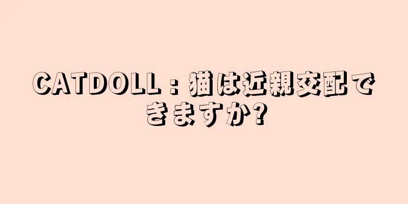 CATDOLL : 猫は近親交配できますか?