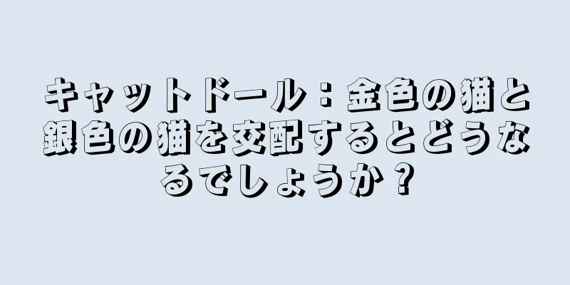 キャットドール：金色の猫と銀色の猫を交配するとどうなるでしょうか？