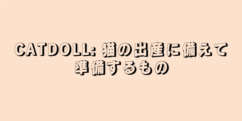 CATDOLL: 猫の出産に備えて準備するもの