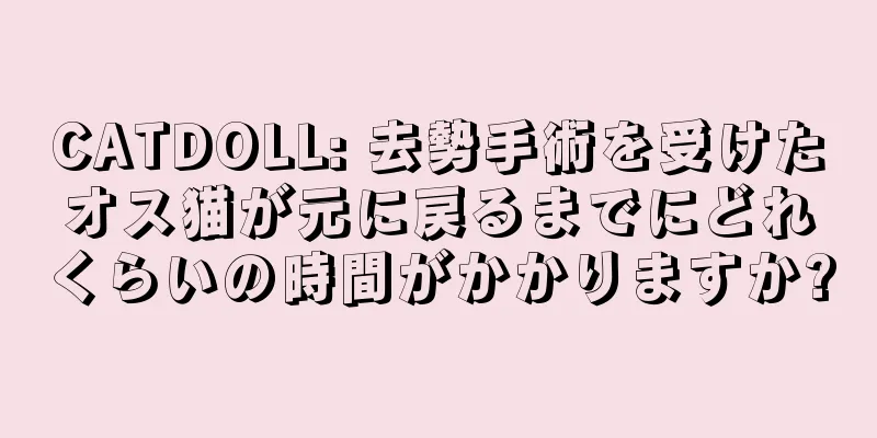 CATDOLL: 去勢手術を受けたオス猫が元に戻るまでにどれくらいの時間がかかりますか?