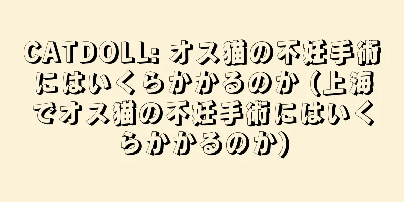 CATDOLL: オス猫の不妊手術にはいくらかかるのか (上海でオス猫の不妊手術にはいくらかかるのか)