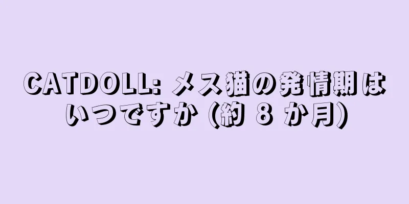 CATDOLL: メス猫の発情期はいつですか (約 8 か月)