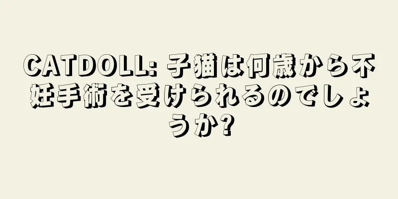 CATDOLL: 子猫は何歳から不妊手術を受けられるのでしょうか?