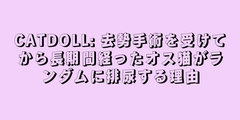 CATDOLL: 去勢手術を受けてから長期間経ったオス猫がランダムに排尿する理由