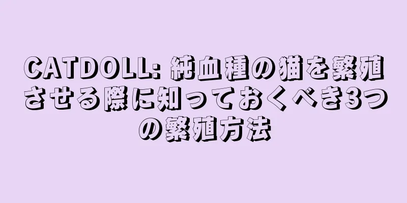 CATDOLL: 純血種の猫を繁殖させる際に知っておくべき3つの繁殖方法