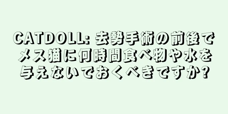 CATDOLL: 去勢手術の前後でメス猫に何時間食べ物や水を与えないでおくべきですか?