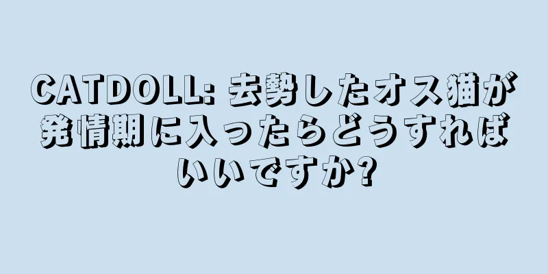 CATDOLL: 去勢したオス猫が発情期に入ったらどうすればいいですか?