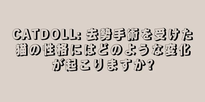 CATDOLL: 去勢手術を受けた猫の性格にはどのような変化が起こりますか?
