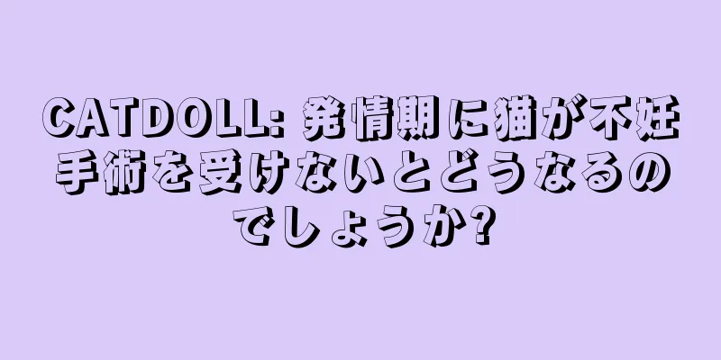 CATDOLL: 発情期に猫が不妊手術を受けないとどうなるのでしょうか?