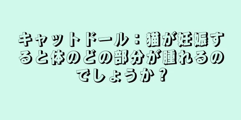 キャットドール：猫が妊娠すると体のどの部分が腫れるのでしょうか？