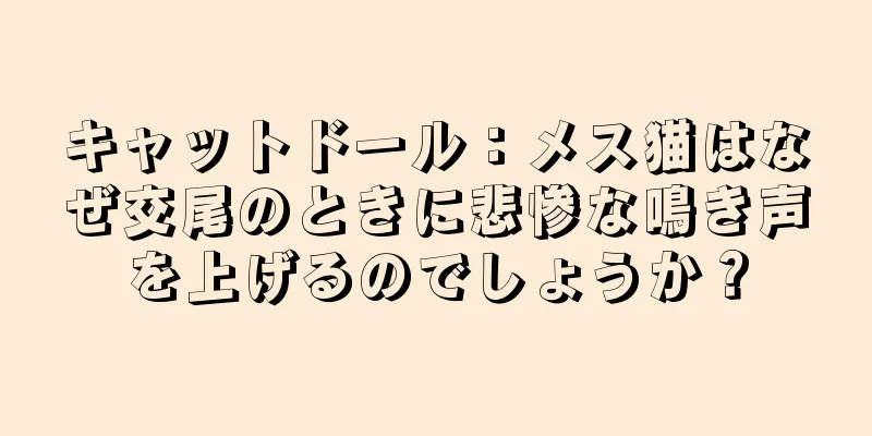 キャットドール：メス猫はなぜ交尾のときに悲惨な鳴き声を上げるのでしょうか？