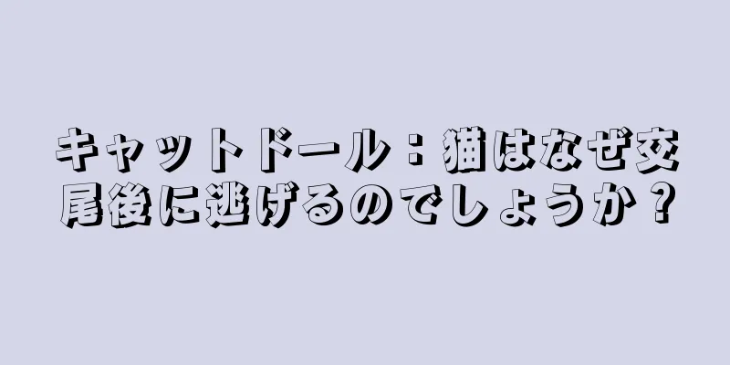キャットドール：猫はなぜ交尾後に逃げるのでしょうか？