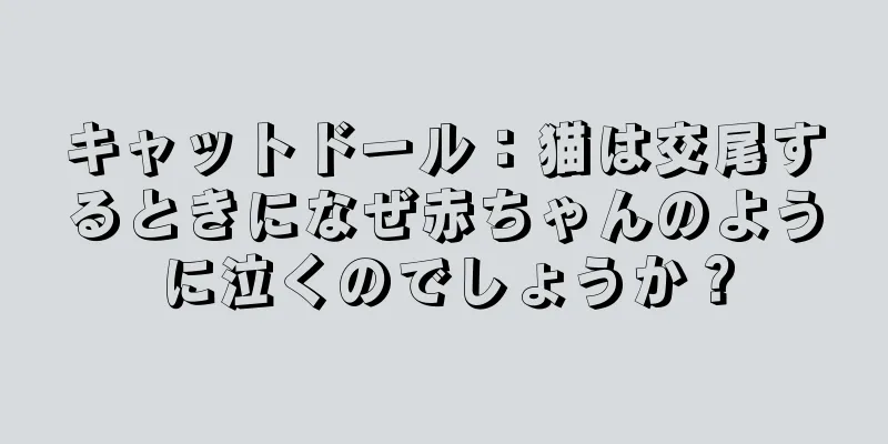 キャットドール：猫は交尾するときになぜ赤ちゃんのように泣くのでしょうか？