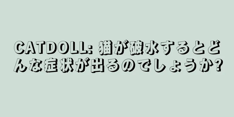 CATDOLL: 猫が破水するとどんな症状が出るのでしょうか?